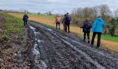 Excursión Senderismo Wavre - #240209 - Bierges, autour du Bois Wilmet** (version courte horlogique) - Photo 1