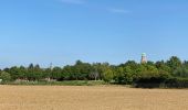 Randonnée Marche Oud-Heverlee - Autour de Haasrode - Photo 10