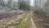 Tour Wandern Raeren - Raeren 27,2 km - Photo 9