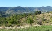 Tour Wandern Coux - Coux Serre Gruas 19km - Photo 1