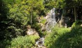 Tour Wandern Hohwald - Par les sommets autour du Hohwald - Photo 8