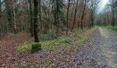 Randonnée A pied Luxembourg - Promenade érable - Photo 2