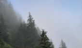 Excursión Senderismo Fillière - GLIERES / BORNES: SOUS DINE AU DEPART DE LES CHENEVIERS...  - Photo 8