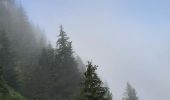 Tocht Stappen Fillière - GLIERES / BORNES: SOUS DINE AU DEPART DE LES CHENEVIERS...  - Photo 8