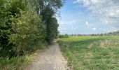 Tocht Stappen Meise - Meise 9,6 km - Photo 2