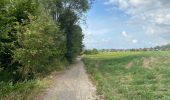 Tour Wandern Meise - Meise 9,6 km - Photo 2