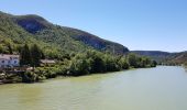 Randonnée Cyclotourisme Pont-de-Poitte - Pont de Poitte - Poncin - Photo 2