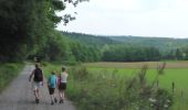 Tour Wandern Daverdisse - Porcheresse - Photo 12