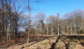 Tocht Stappen Seraing - descente dans le bois de la vecquée - Photo 6