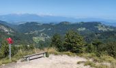 Trail Walking Dobrova-Polhov Gradec - A la découverte du parc Polhograjski Dolomiti 🥾 - Photo 13