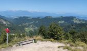 Tour Wandern Dobrova-Polhov Gradec - A la découverte du parc Polhograjski Dolomiti 🥾 - Photo 13