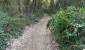 Trail Walking Sabran - Colombiers - Photo 7