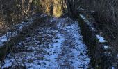 Trail On foot Sprimont - SityTrail - chateau florze - Photo 3