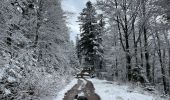 Trail Walking Cornimont - Col du Brabant - croix Louis par Mansuy et Boulaite - Photo 10