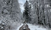 Tour Wandern Cornimont - Col du Brabant - croix Louis par Mansuy et Boulaite - Photo 10