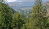 Trail Walking Ancelle - Le Puolit par la Haute Rouanne - Photo 1