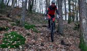 Trail Mountain bike Neufmanil - 20191122 vttae Focus départ Neuneu casse derailleur - Photo 1