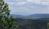 Trail On foot Nothweiler - Wegelnburg-Tour - Photo 4