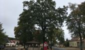 Tour Zu Fuß Beelitz - Rundwanderweg Riebener See - Photo 9