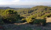 Tocht Trail La Seyne-sur-Mer - fabregas, notre dame de mai par la DFCI 909, puis plage de fabregas  - Photo 3