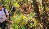 Trail Walking Collonges-la-Rouge - colonge - Photo 4