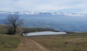 Tour Wandern Seyssel - 14-03-2022 Seyssel - La Montagne des Princes  - Photo 6