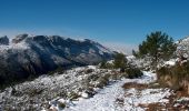 Randonnée A pied Gandia - Senda de la Cova del Parpalló - Photo 2