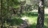 Trail Walking La Roche-des-Arnauds - Serigons - Rabou par petit Buëch  - Photo 8
