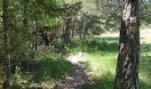 Excursión Senderismo La Roche-des-Arnauds - Serigons - Rabou par petit Buëch  - Photo 8