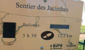 Trail Walking Illeville-sur-Montfort - Illeville-sur-Monfort - Le circuit des Jacinthes - Photo 5