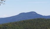 Tour Wandern Wildersbach - Wildersbach - col de la Perheux - cascade de la Serva - Champ du Feu - Photo 10