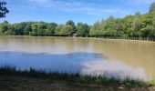 Trail Walking Champier - Les etangs - Photo 1