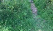 Trail Walking Asse - 20220612 WSV Zellik 6 km - Photo 15