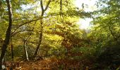 Trail Walking Orival - 20221117-Les Essarts  - Photo 18