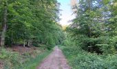 Randonnée Marche nordique Aywaille - trek2306 remouchamps . ninglinspo . Vert-Buisson . berinzenne . source sauveniere . niveze . sart . royonpré . polleur . chawion . theux . hodbomont . forestia . remouchamps  - Photo 7