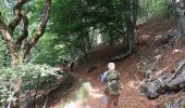 Trail Walking Val-d'Aigoual - Cascade d'Orgon-15-06-22 - Photo 8