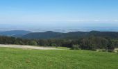 Randonnée Marche Soultz-Haut-Rhin - Grand Ballon - Photo 8