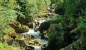 Tour Wandern Bourg-de-Sirod - Les pertes de l'Ain 12 juillet 2022  - Photo 7