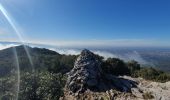 Tour Wandern Fontaine-de-Vaucluse - Les Hauteurs de la Fontaine - Photo 9