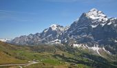 Tocht Te voet Grindelwald - Grosse Scheidegg - Schreckfeld - Photo 10