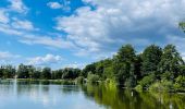 Percorso Marcia Diepenbeek - La vallée du Démer - La réserve naturelle Dorpsbemden à Diepenbeek - Photo 6