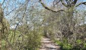 Excursión Senderismo Trooz - autour de Prayon (si on m avait dit ...) - Photo 16