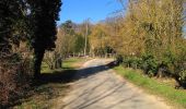 Trail Walking Pierrefonds - en forêt de Compiègne_24_Tournantes sur le Voliard et sur la Fortelle_chaussée Brunehaut - Photo 11