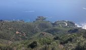 Randonnée Marche Saint-Raphaël - Autour des Pics du Cap Roux  et d'Aurelle depuis Belle Barbe - Photo 8