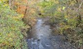 Tour Wandern La Bourboule - Bourboule-puy-st-roch-retour-Bourboule - Photo 5