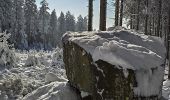 Randonnée Ski de fond Waimes - Les trois boucles des hautes fagnes - Photo 4