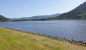 Tocht Stappen Celles-sur-Plaine - Du lac de la Plaine au lac de Vieux-Pré à Pierre-Percée - Photo 3