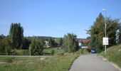 Trail On foot Nové Město na Moravě - [Č] Nové Město - Maršovice, local - Photo 4