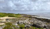 Trail Walking Saint-François - Guadeloupe - Anse à la Baie à Porte d'Enfer - Photo 15