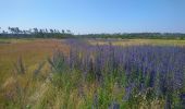 Tour Zu Fuß Alzenau - Ortswanderweg Alzenau 5 - Photo 4